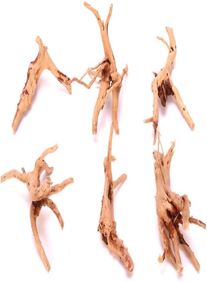 Zhuluck 1Pc Natural Aquarium Driftwood Branches Wood Aquarium Trunk Driftwood Tree Fish Tank Log Decoration Plant Stump, Aquarium Decoration Wood Aquarium Thematic Ornaments Aquarium Accessories (8-10cm) - Image 1